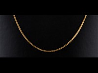 Fio Ouro Malha Duplos Elos